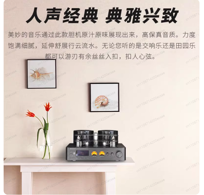 Penguat Daya Tabung Nirkabel H - Audio Youtube Music Free ulasan dan harga